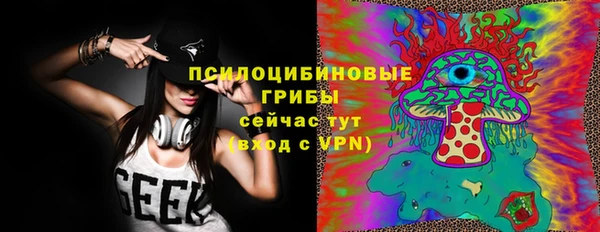 гидропоника Алзамай