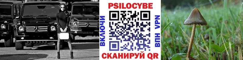 закладка  Новоалтайск  Галлюциногенные грибы мухоморы 